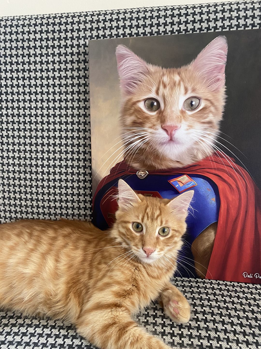 Super Pet