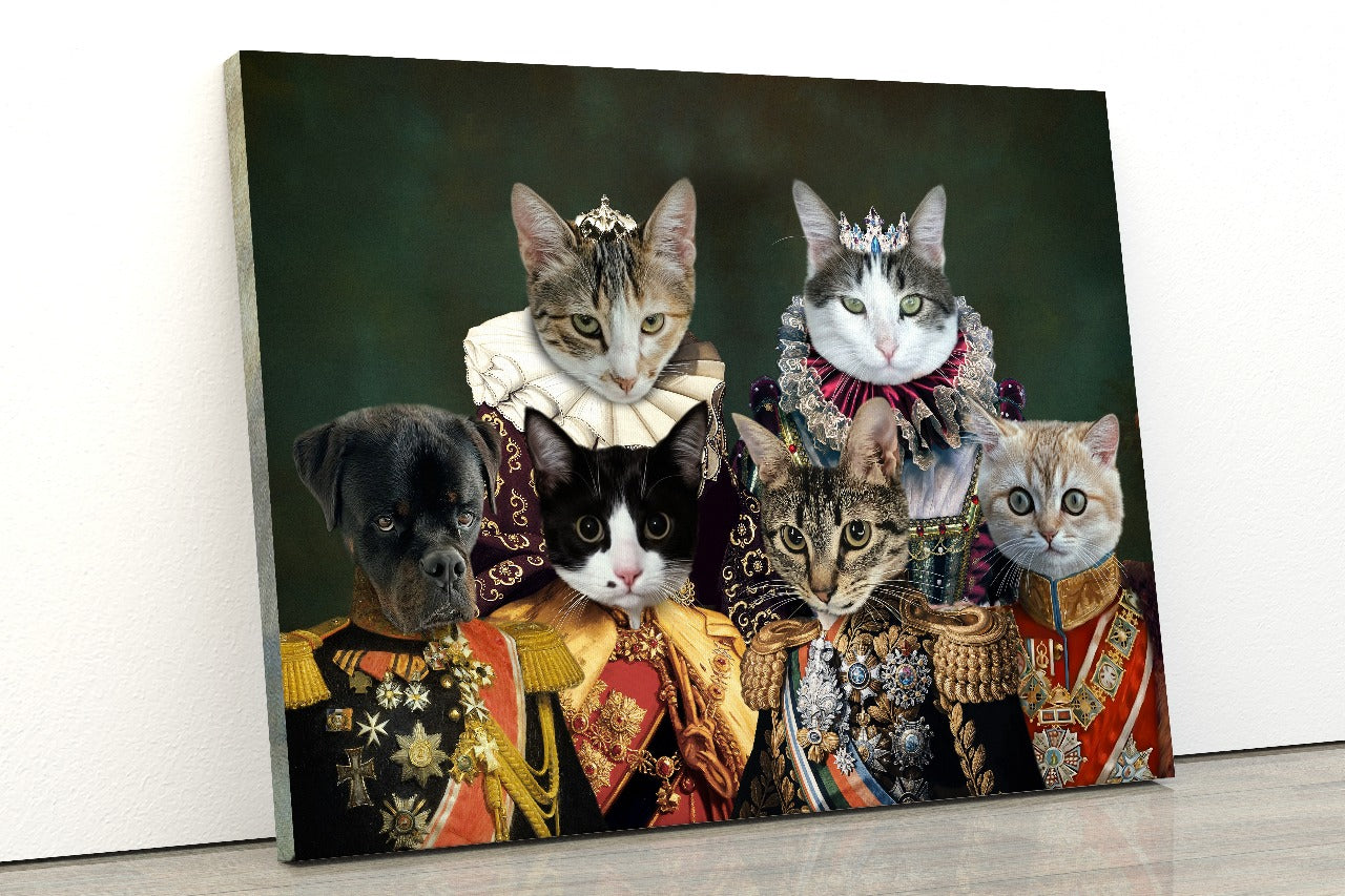 House of Many Paws
