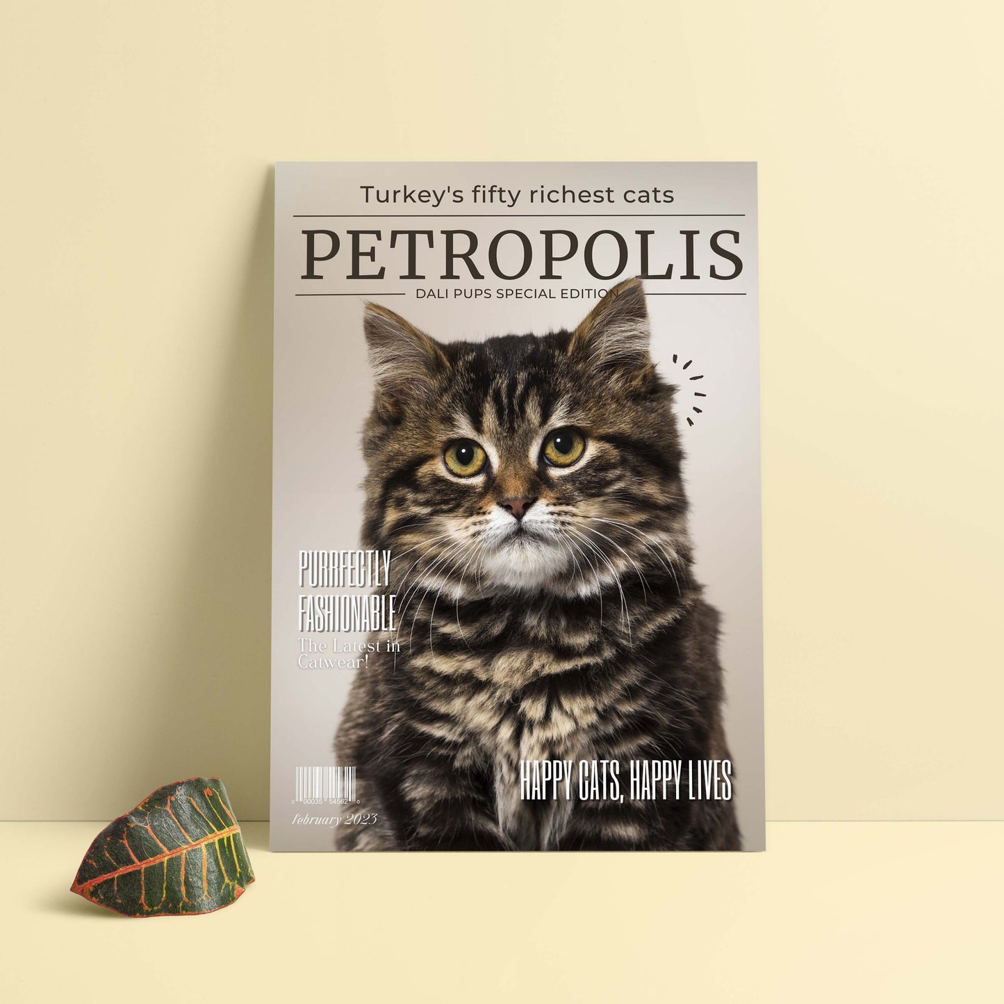 Cat Magazine Cover