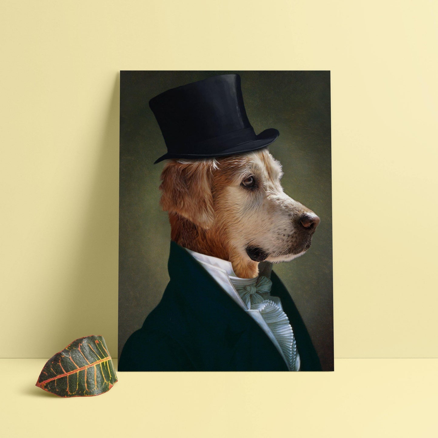 The Gentleman - Dali Pups