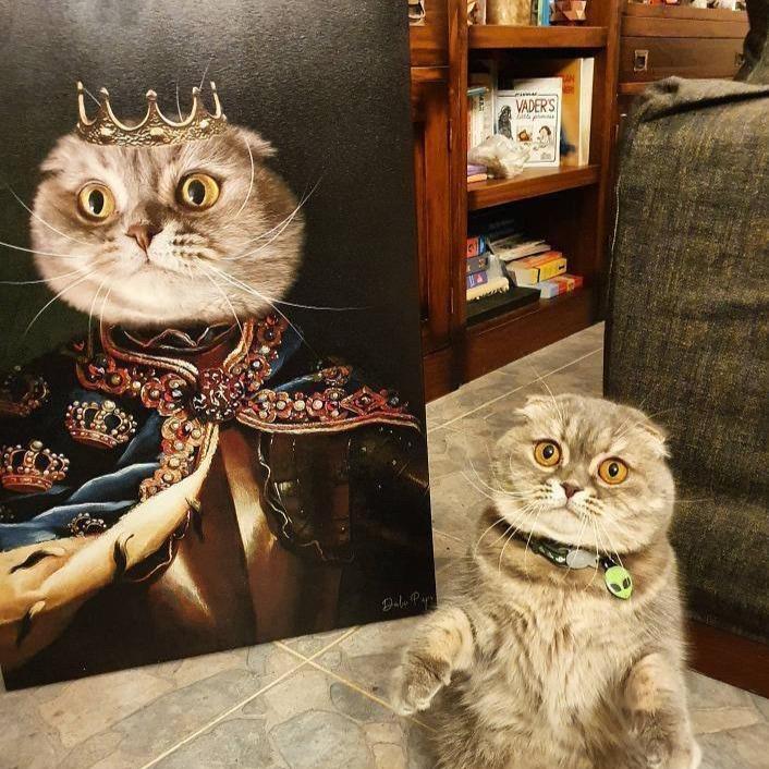 The King in the South - Dali Pups