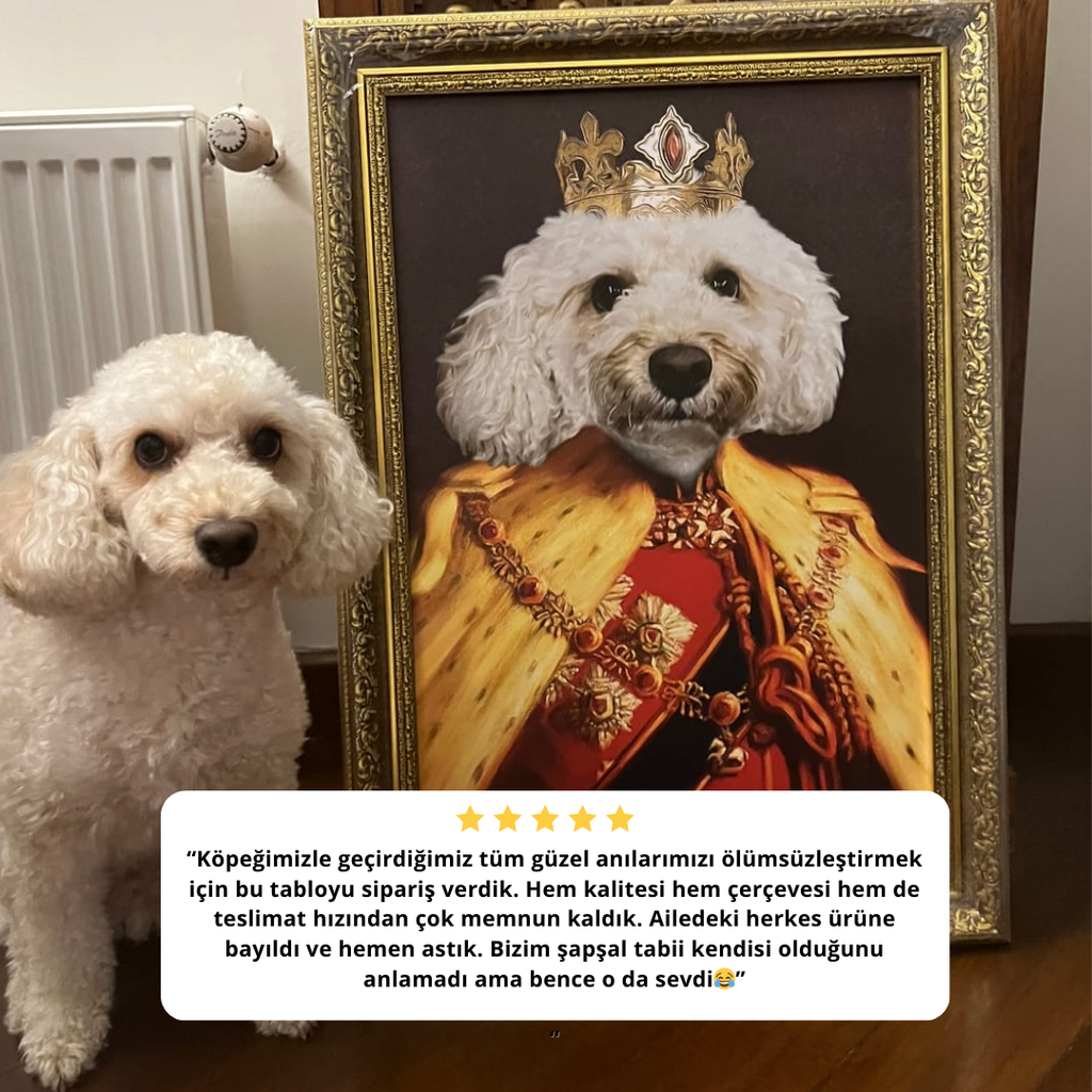 The King of the Seven Kingdoms