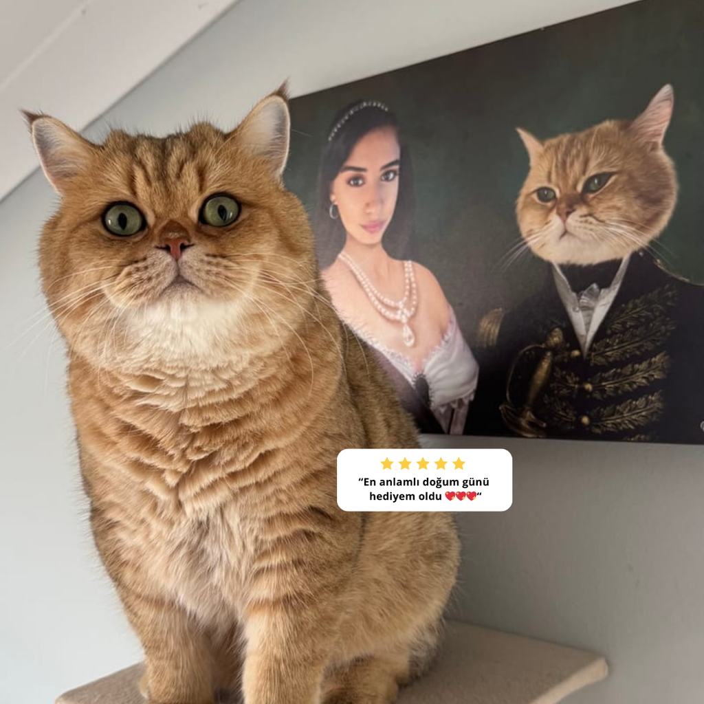 The Mysterious Nobles