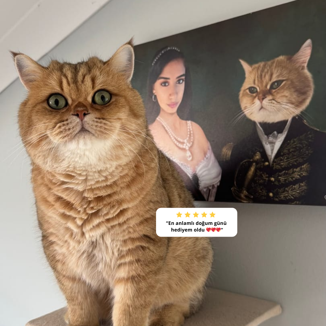 The Mysterious Nobles