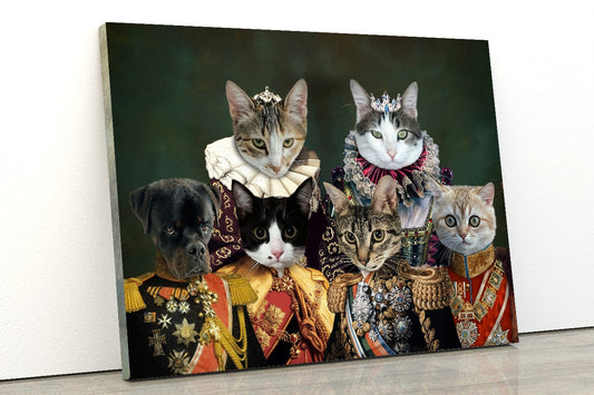House of Many Paws