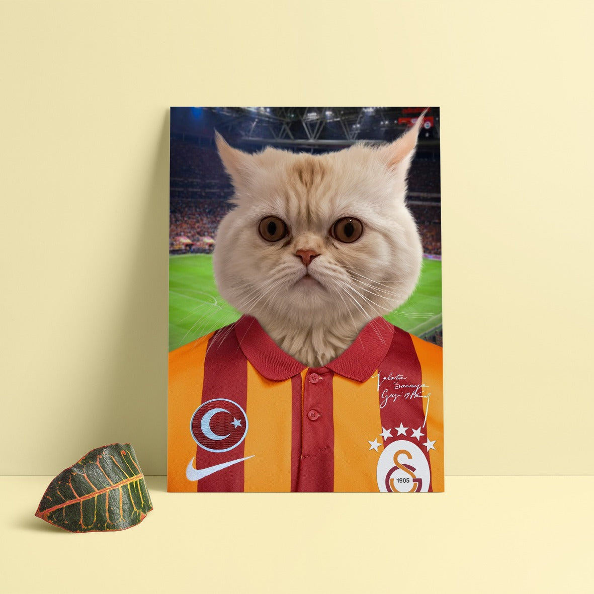 Cimbom Spirit