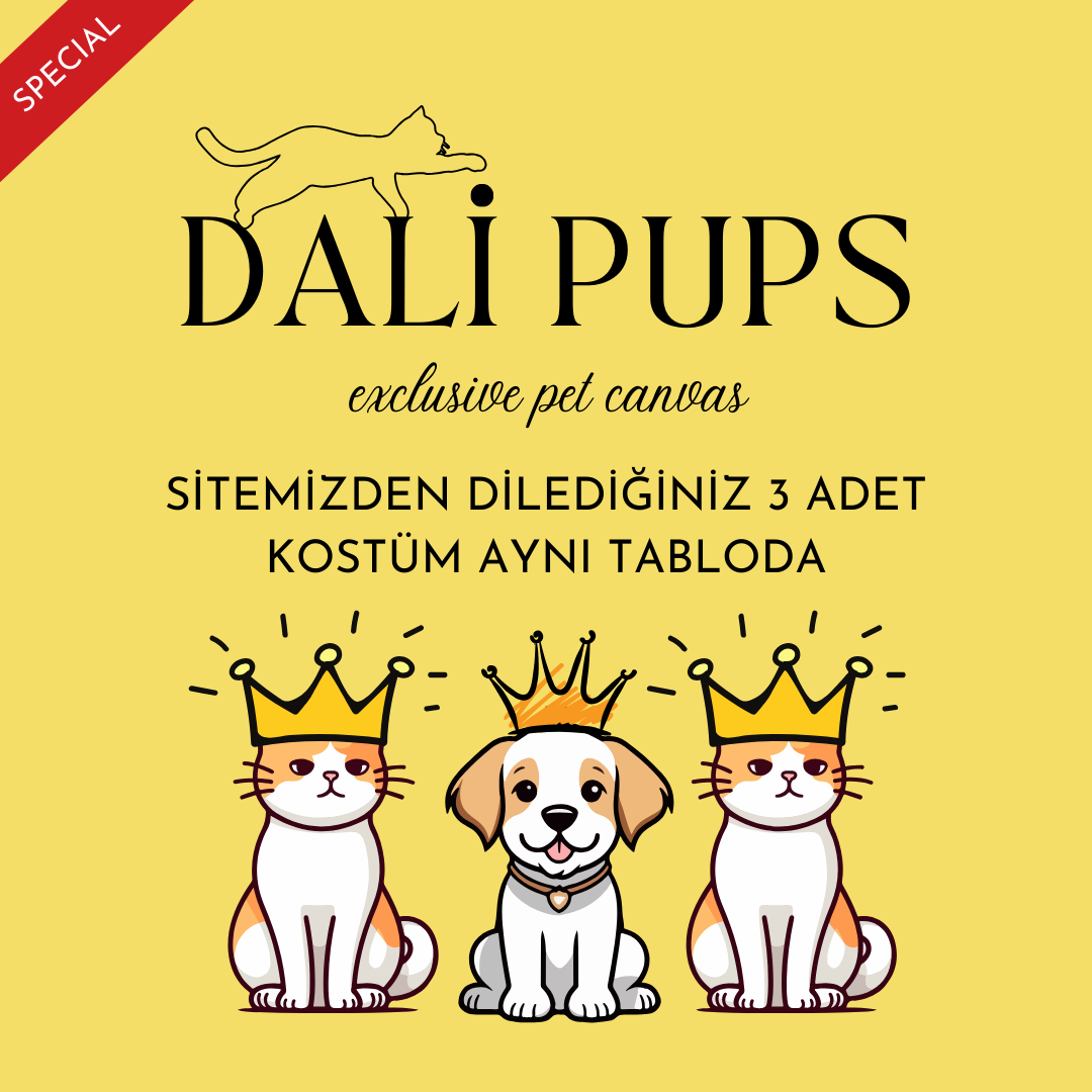 3lü Özel Tasarım Kanvas Tablo