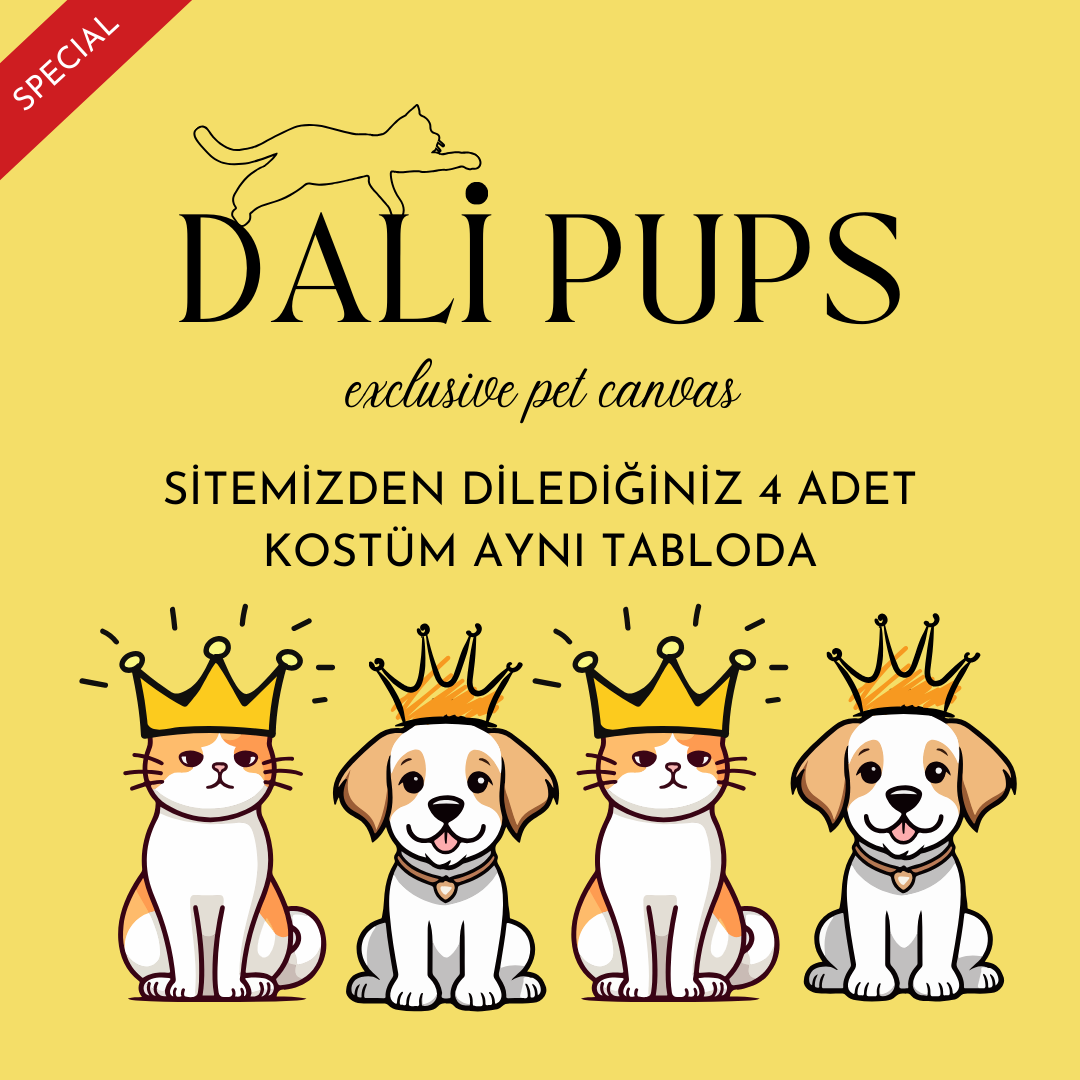 4lü Özel Tasarım Kanvas Tablo