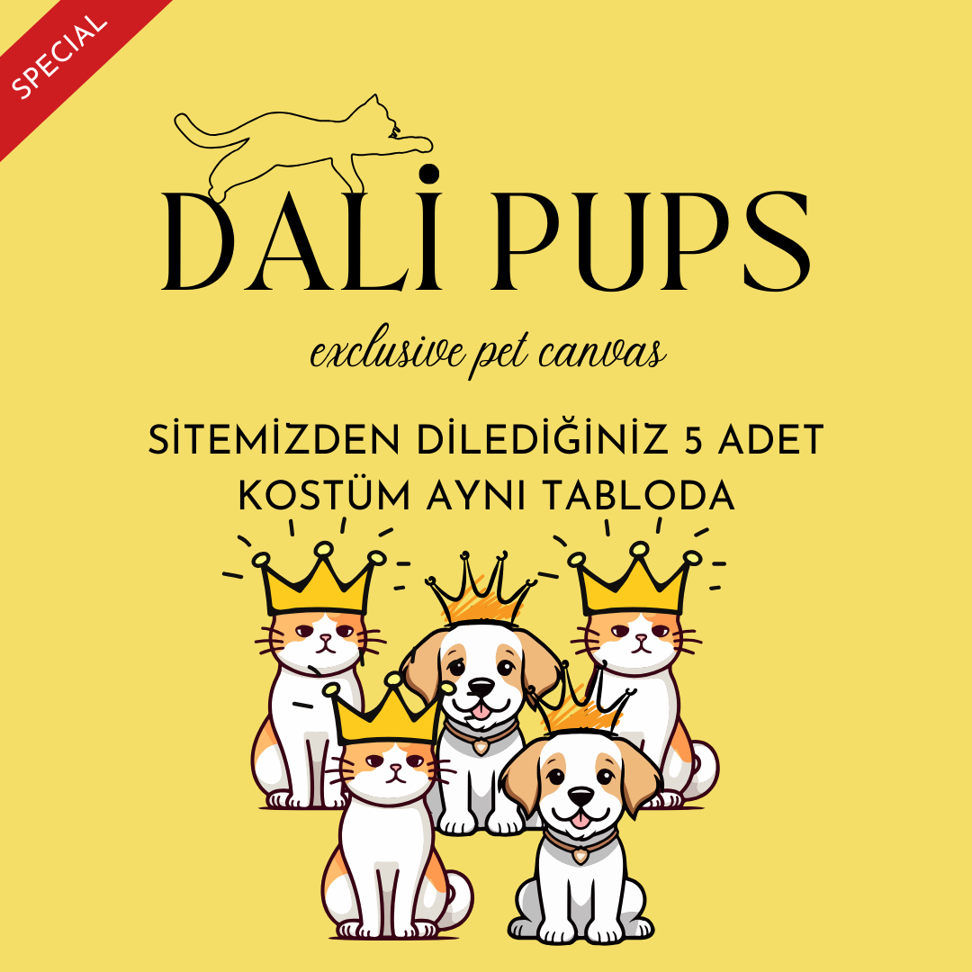 5li Özel Tasarım Kanvas Tablo