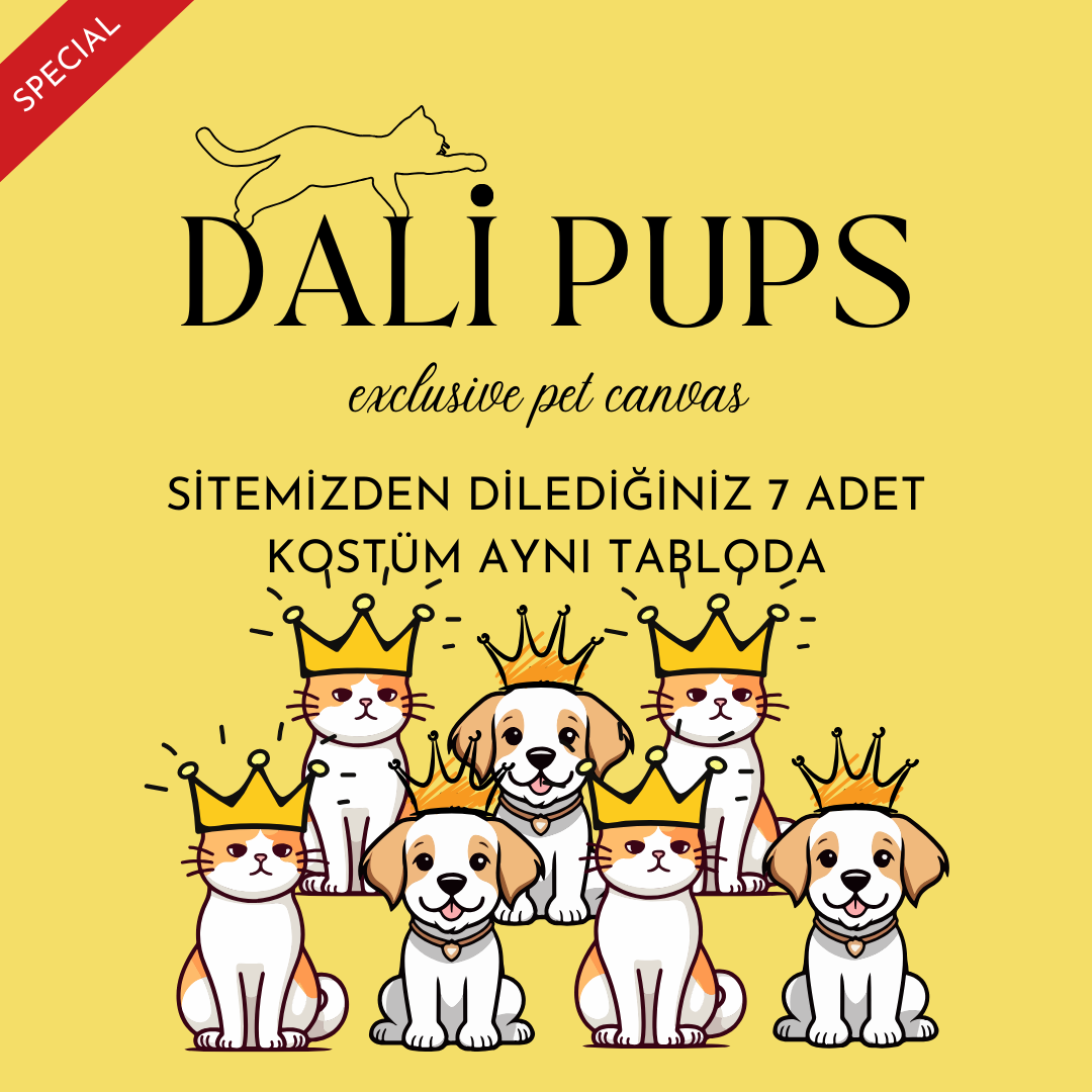 7li Özel Tasarım Kanvas Tablo