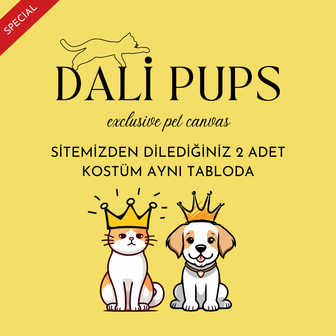 2li Özel Tasarım Kanvas Tablo