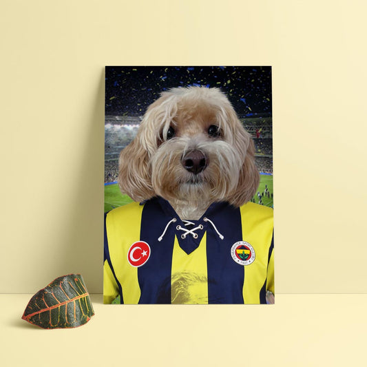 The Kadıköy Hooligan