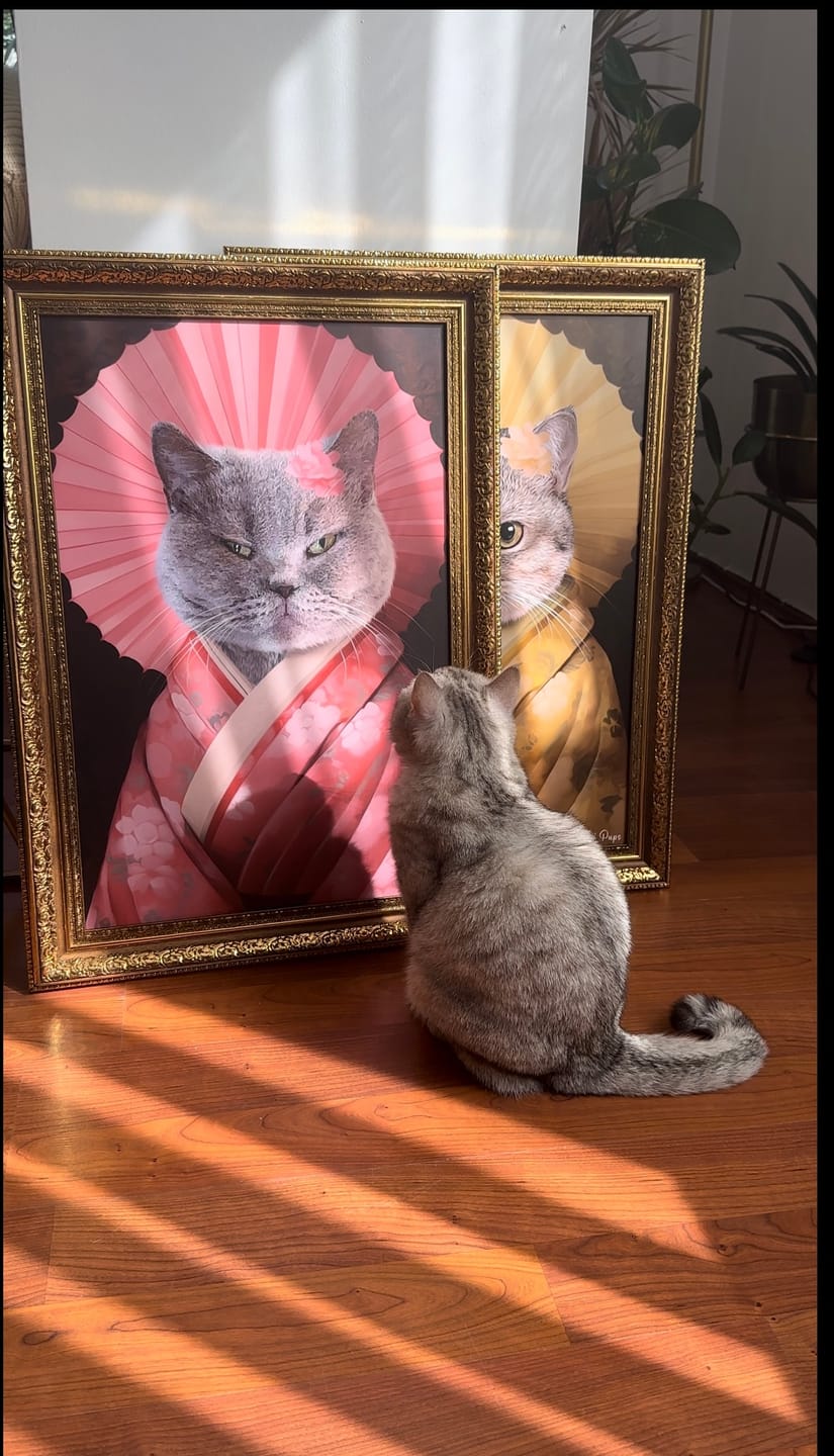 The Beautiful Geisha