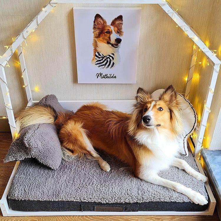 Kişiye Özel Evcil Hayvan Kanvas Tablosu - Pet Kanvas Tablo - Evcil Hayvan Tablosu- Kişiye Özel Evcil Hayvan Tablosu