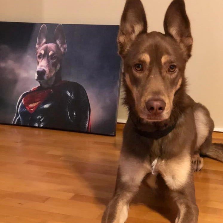 The Superdog! - Dali Pups