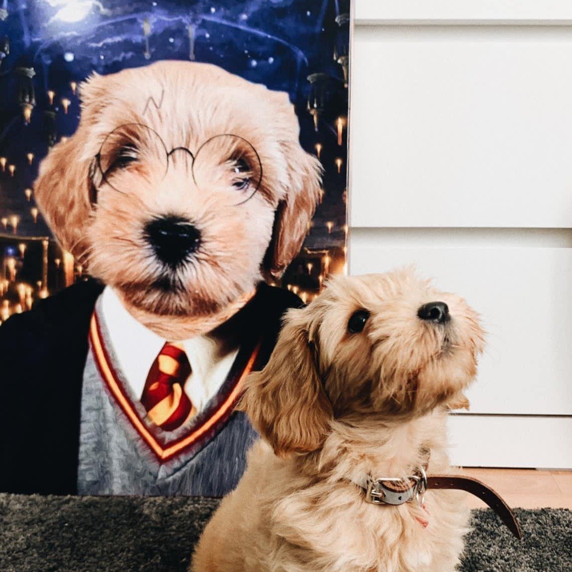 The Potter - Dali Pups