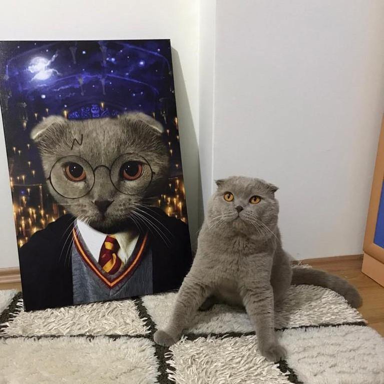 The Potter - Dali Pups