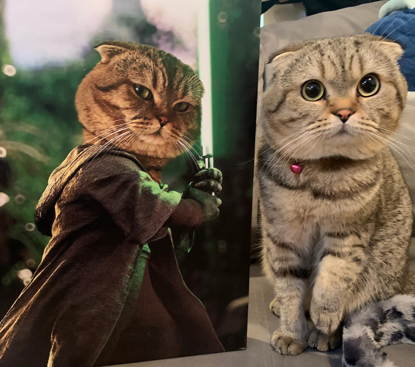 The Return of the Jedi