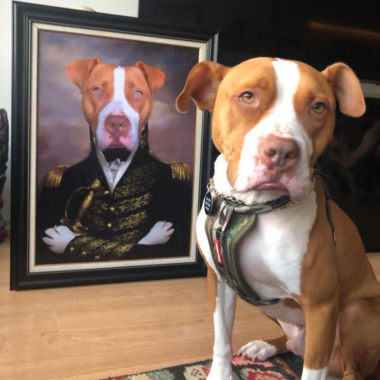 Şövalye kedi portresi dostlarının yüzünü güldürecek. Kişiye özel kanvas tablo yaptırmak artık çok kolay, sitemizi ziyaret et.