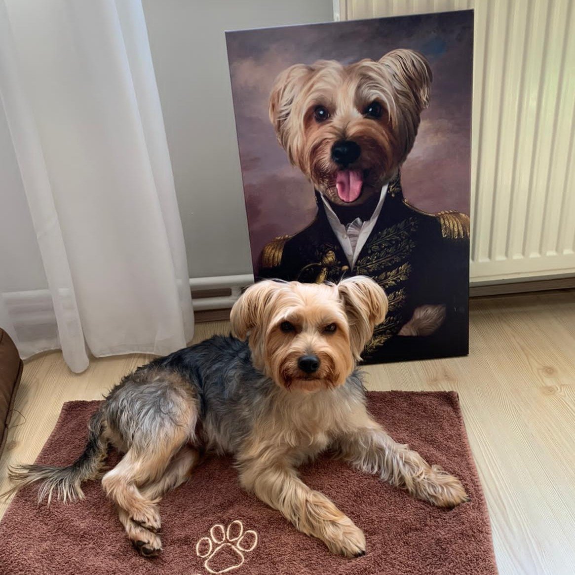 Şövalye kedi portresi dostlarının yüzünü güldürecek. Kişiye özel kanvas tablo yaptırmak artık çok kolay, sitemizi ziyaret et.