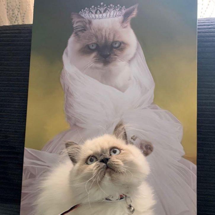 Prenses kedi tablosu yaptırmak için sitemizi ziyaret et. Birbirinden güzel evcil hayvan tablosu seçenekleri için hemen tıkla.
