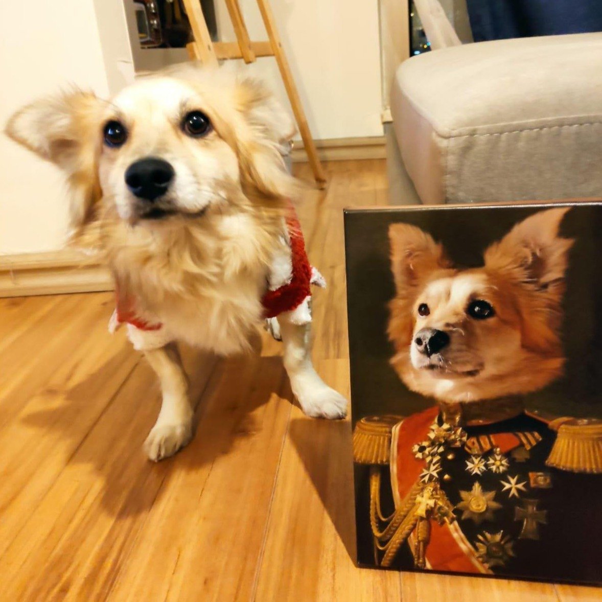 Komutan kedi tablosu veya şövalye kedi tablosu, hangisini istersen hepsi burada var. Fotoğrafını yükle tasarımın hazırlansın, yüksek kalite kanvas tablon burada.