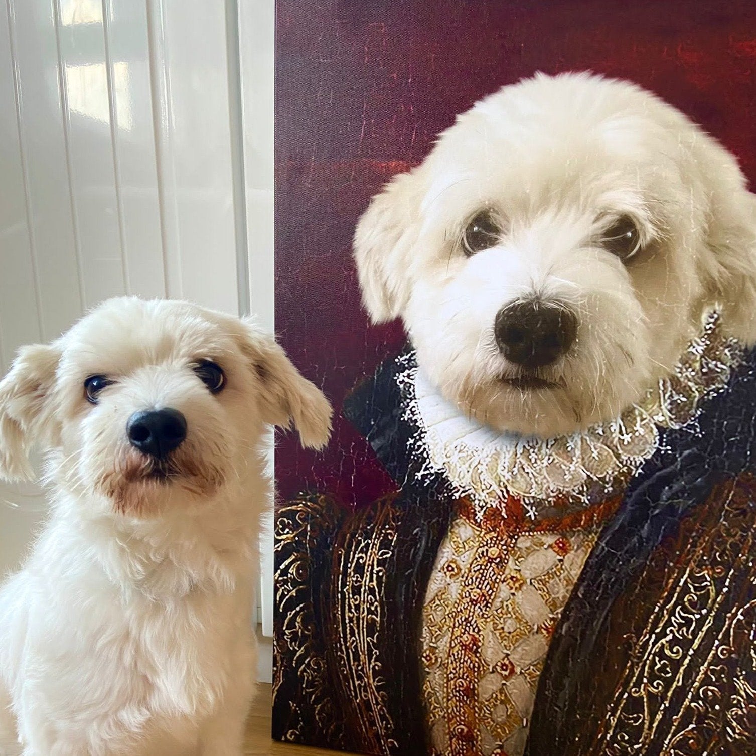 The Duchess - Dali Pups