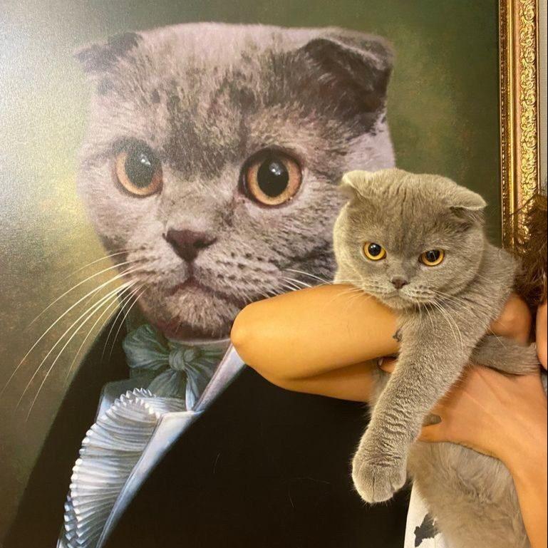 The Gentleman - Dali Pups