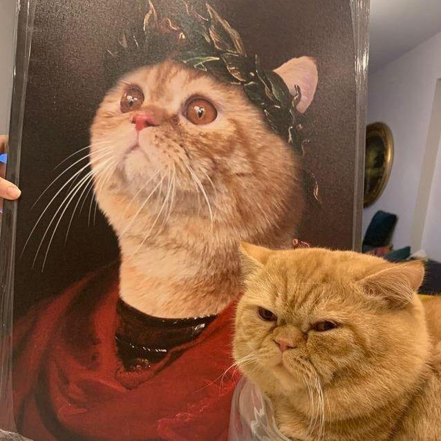 The Great Caesar - Dali Pups