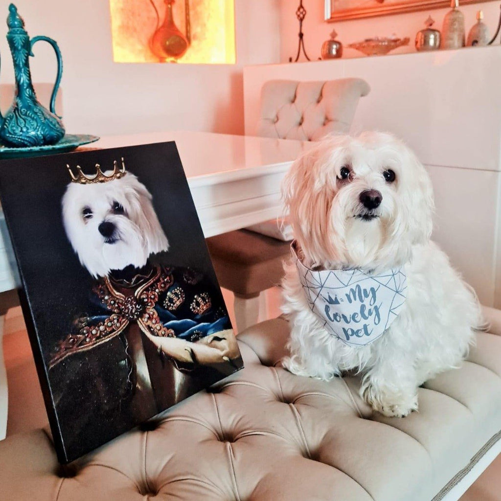 The King in the South - Dali Pups