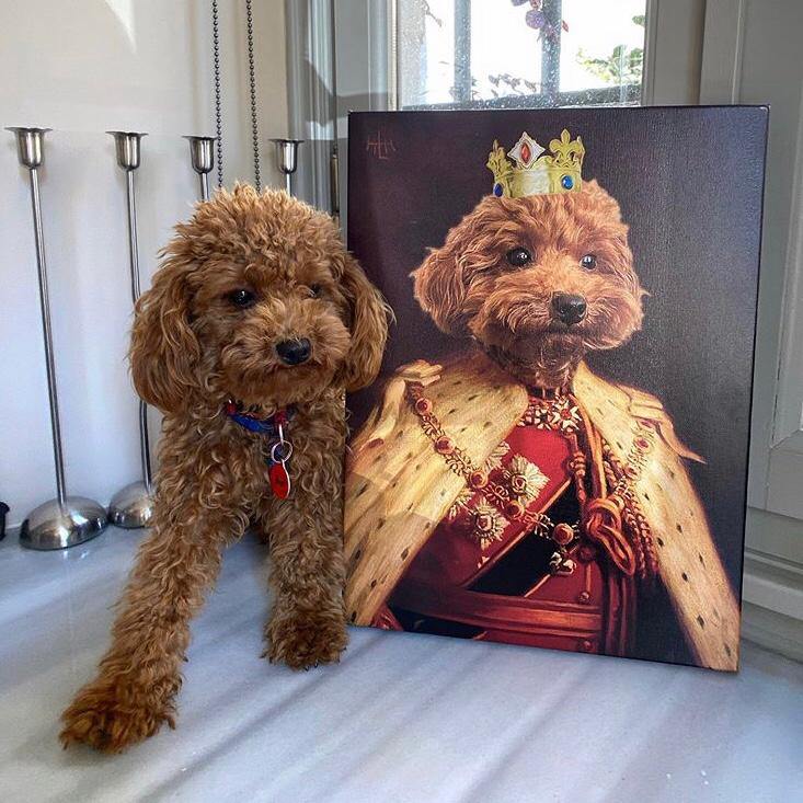 The King of the Seven Kingdoms - Dali Pups