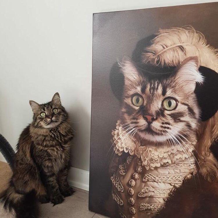 The Lady - Dali Pups