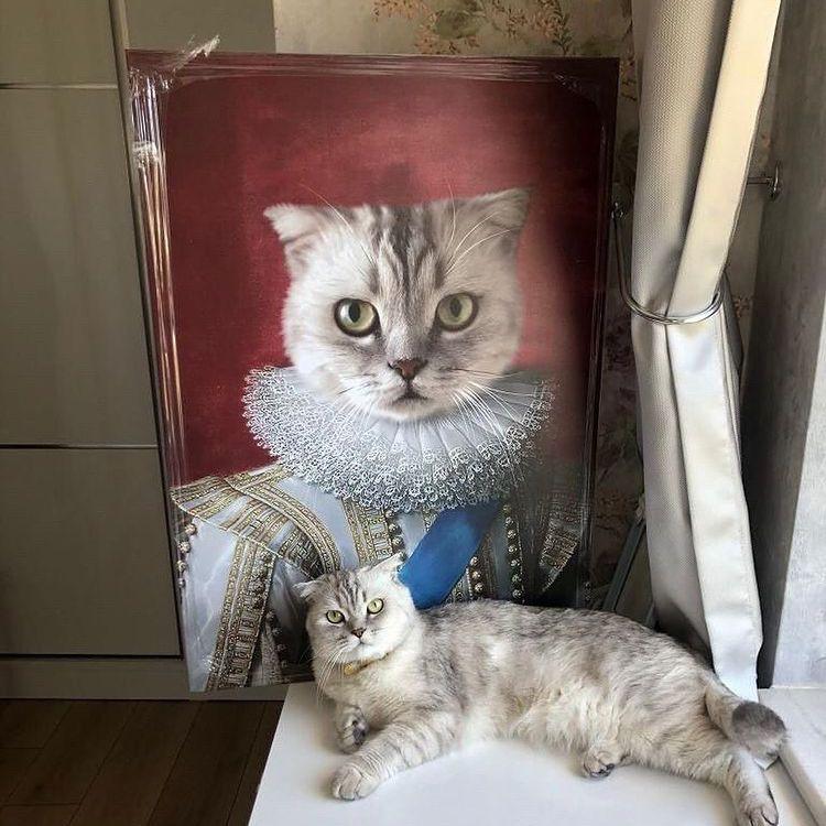 The Lord Handsome - Dali Pups