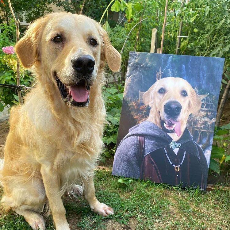 The Lord of the Woofs - Dali Pups