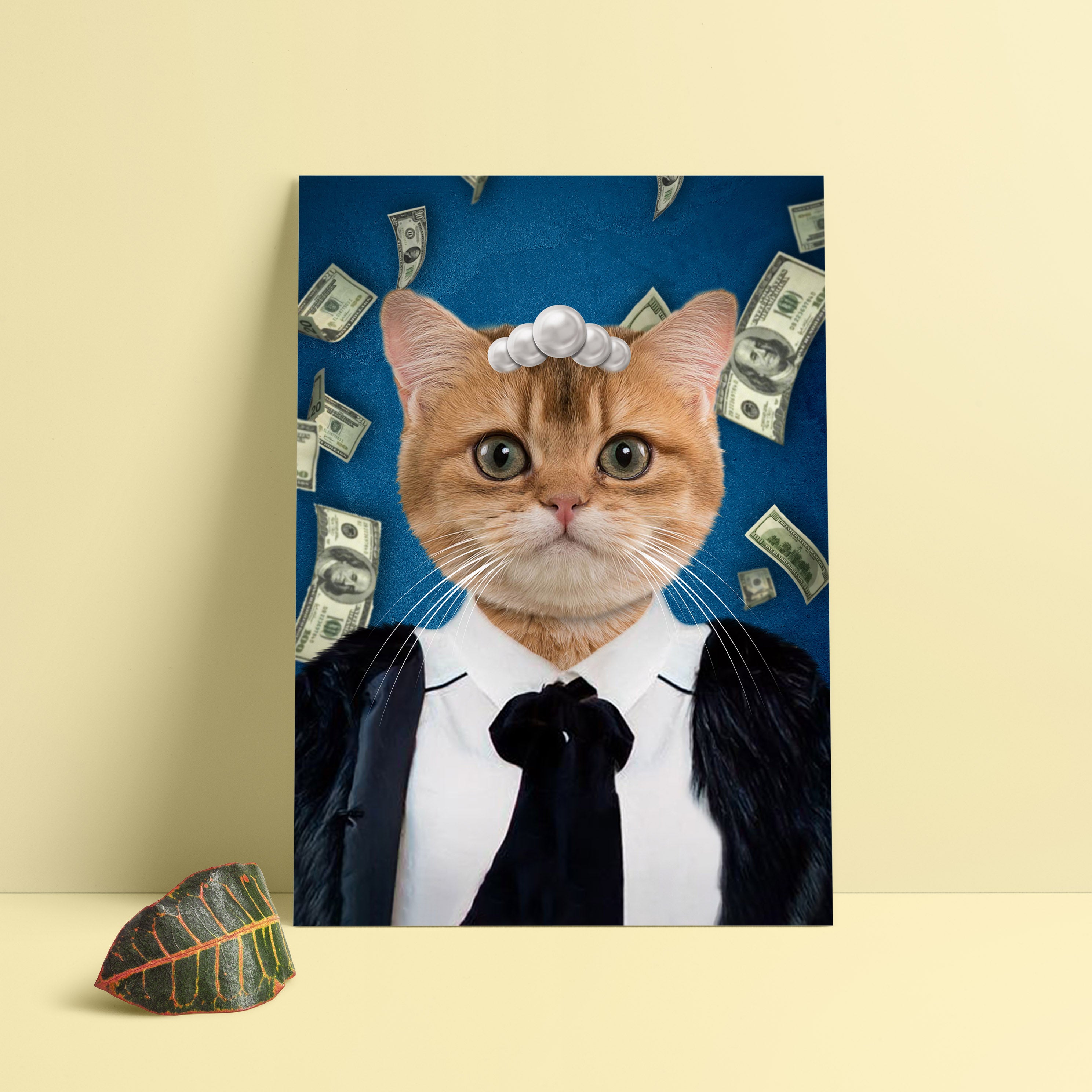 The Millionaire Lady